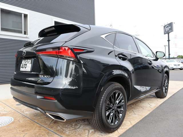 Lexus NX 2020-12 16128-6