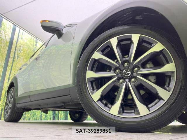 Mazda CX-3 2019-06 295515-13