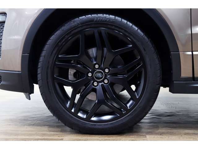 ROVER RANGE ROVER 2019-05 183587-3