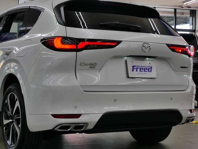 Mazda CX-60 2022-12 189796-9