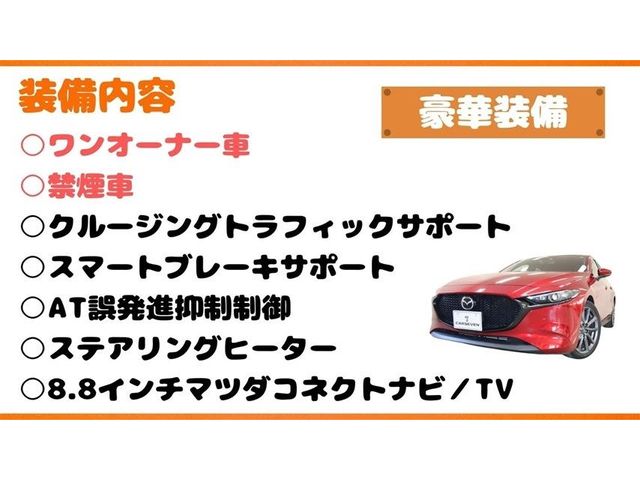 Mazda MAZDA3 2019-08 10527-10