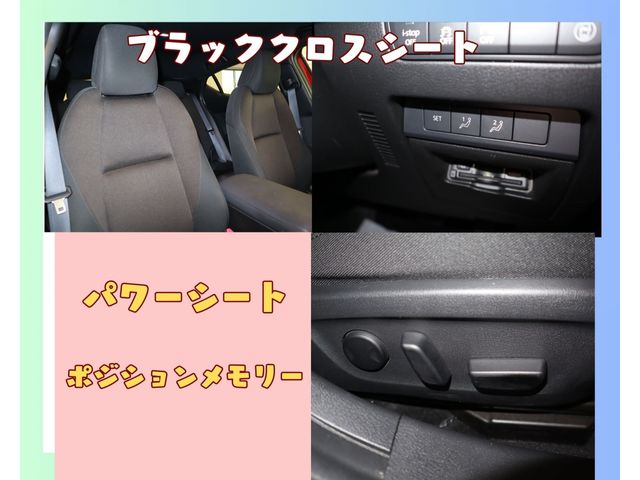 Mazda MAZDA3 2019-08 10527-23