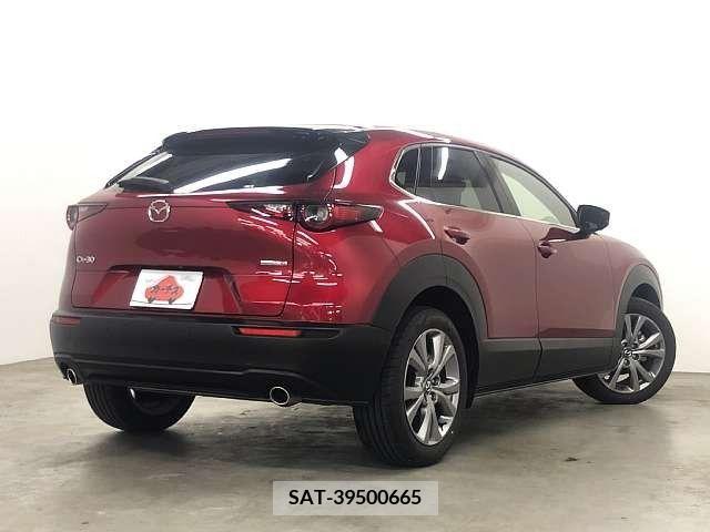 Mazda CX-30 2021-03 295600-2