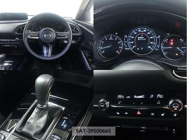 Mazda CX-30 2021-03 295600-5