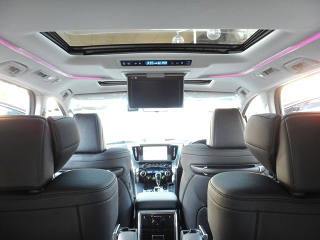 Toyota ALPHARD 2021-11 195464-18