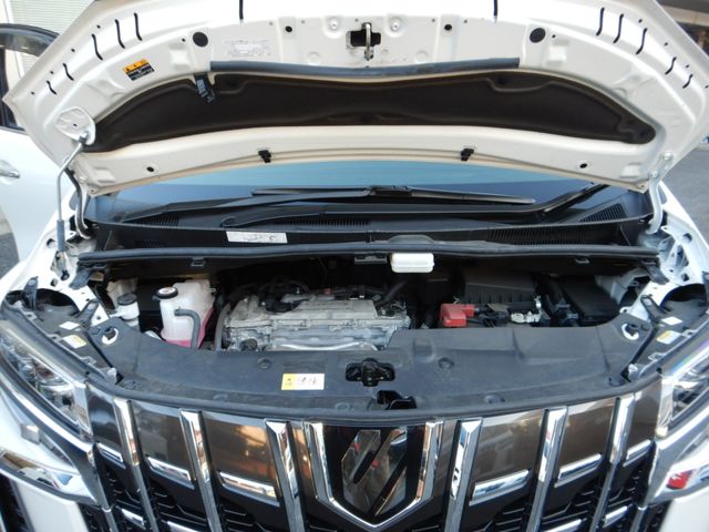 Toyota ALPHARD 2021-11 195464-20