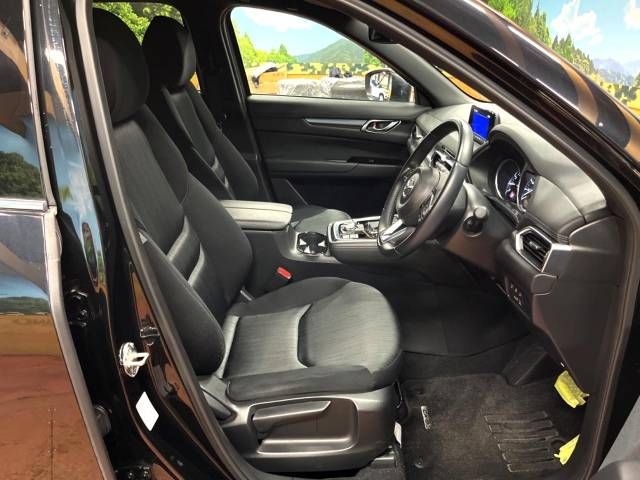 Mazda CX-8 2019-04 22569-9