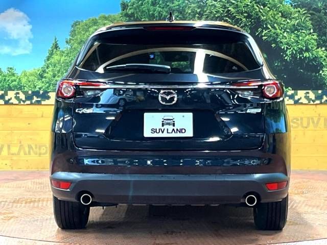 Mazda CX-8 2019-04 22569-17
