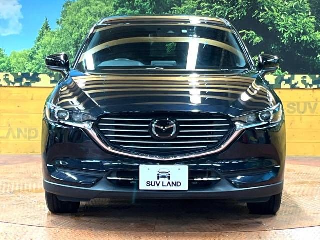 Mazda CX-8 2019-04 22569-16