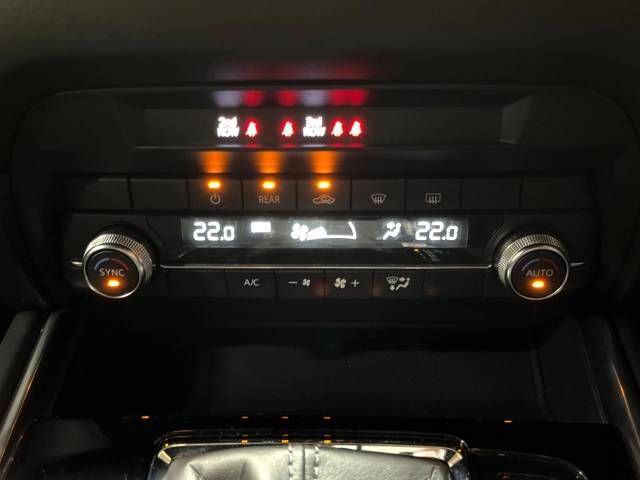 Mazda CX-8 2019-04 22569-7