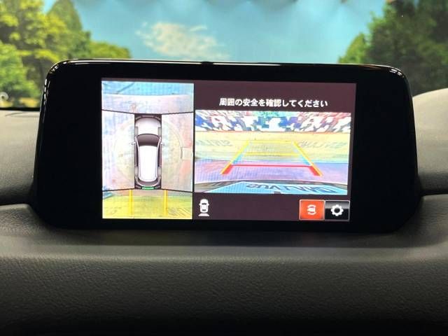 Mazda CX-8 2019-04 22569-3