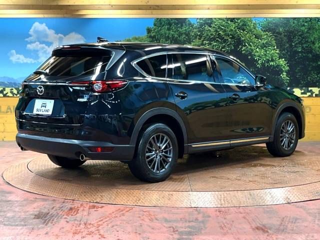 Mazda CX-8 2019-04 22569-19