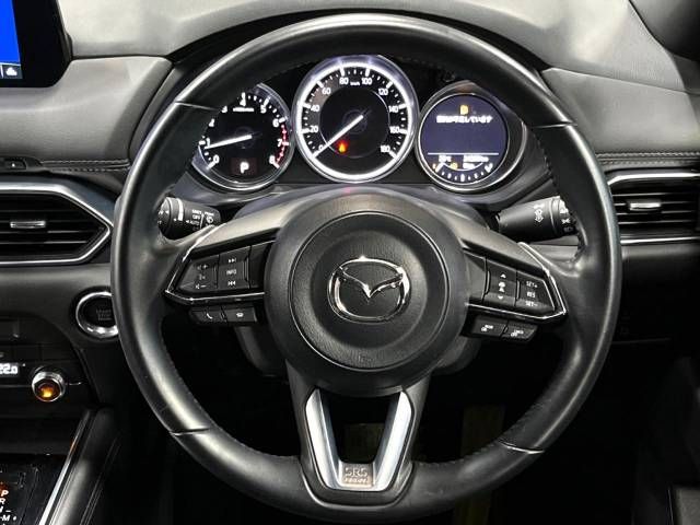 Mazda CX-8 2019-04 22569-13