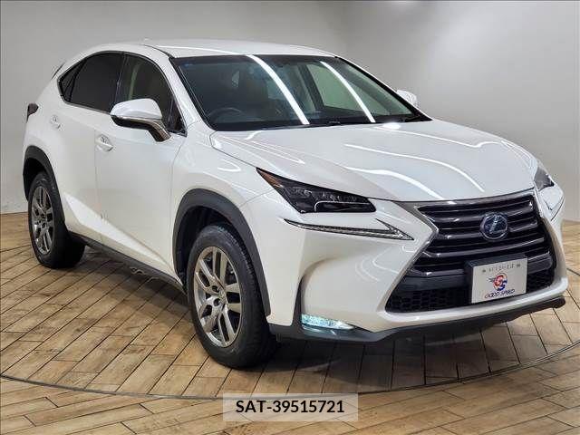 Lexus NX 2014-08 300537-15
