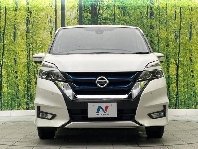 Nissan SERENA 2019-01 196508-14