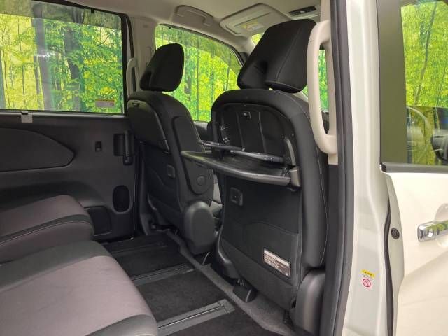Nissan SERENA 2019-01 196508-8