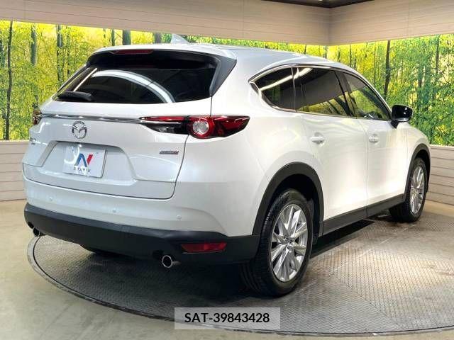 Mazda CX-8 2018-01 223055-18