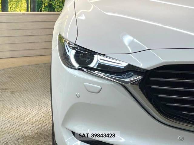 Mazda CX-8 2018-01 223055-13