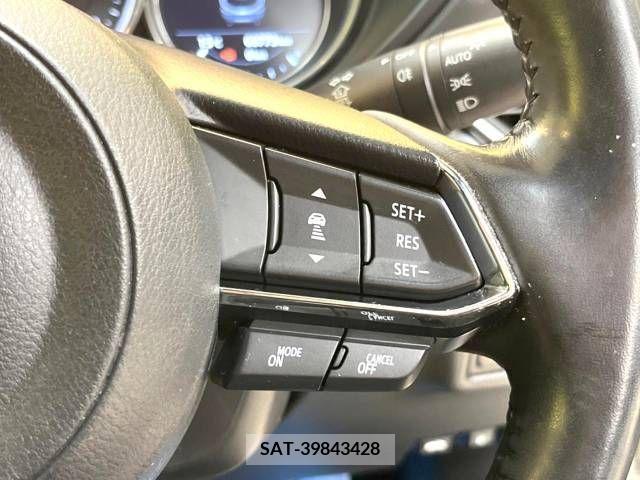 Mazda CX-8 2018-01 223055-6