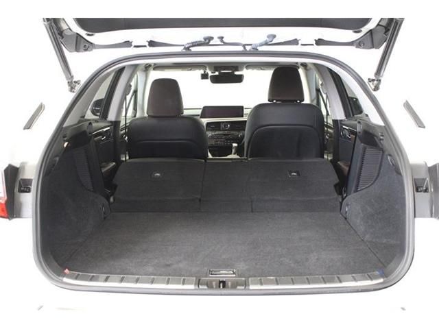 Lexus RX 2017-02 182370-21
