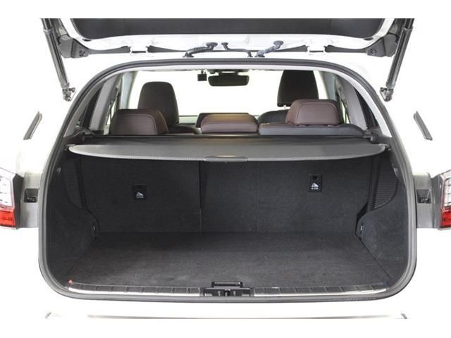 Lexus RX 2017-02 182370-20