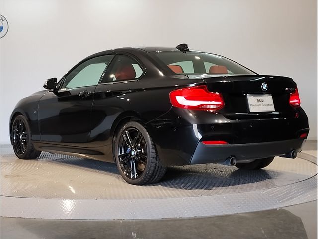 Bmw 2 SERIES 2018-10 21619-2