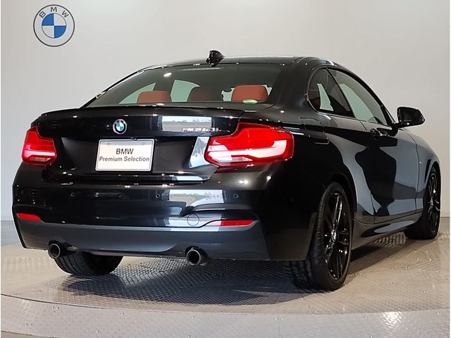 Bmw 2 SERIES 2018-10 21619-4
