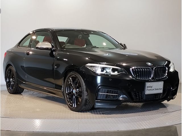 Bmw 2 SERIES 2018-10 21619-6