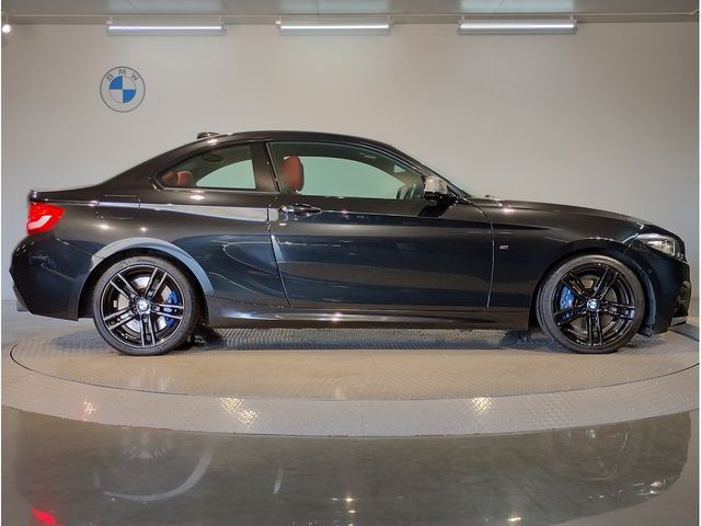 Bmw 2 SERIES 2018-10 21619-5