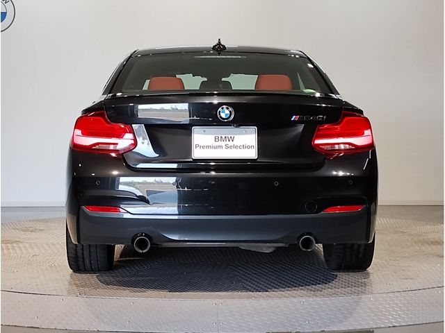 Bmw 2 SERIES 2018-10 21619-3