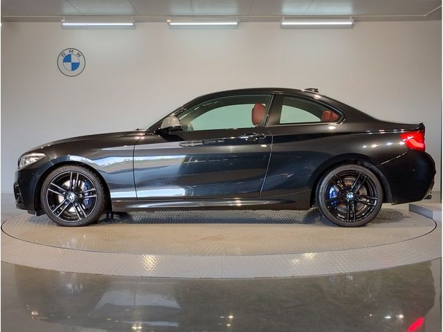 Bmw 2 SERIES 2018-10 21619-1