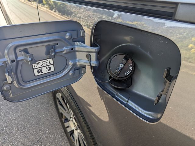 Mitsubishi DELICA D5 2019-03 17459-29
