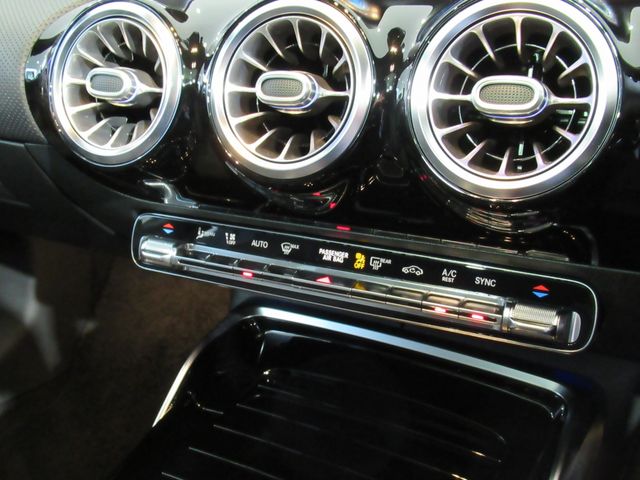 Amg A-Class 2020-10 187868-13