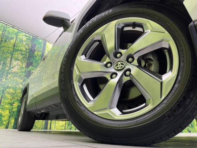 Toyota RAV4 2019-09 25133-13