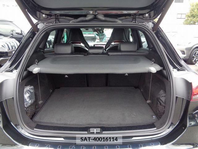 Amg A-Class 2021-09 216043-7