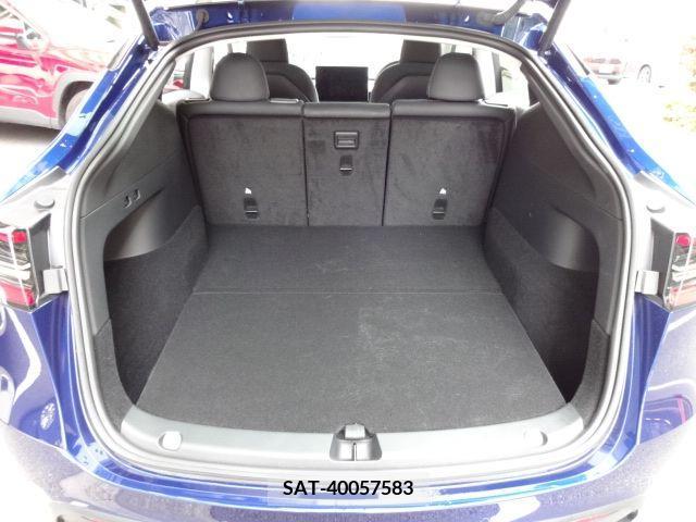 Tesla MODEL Y 2022-12 310902-10