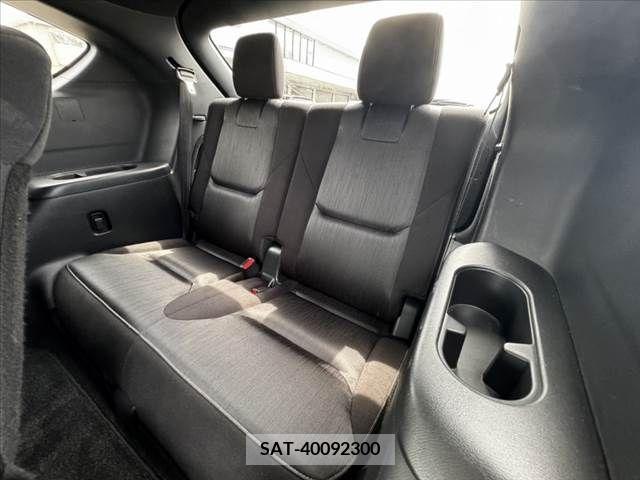 Mazda CX-8 2018-04 382837-20