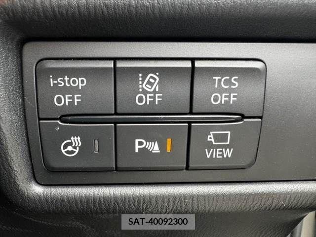 Mazda CX-8 2018-04 382837-28