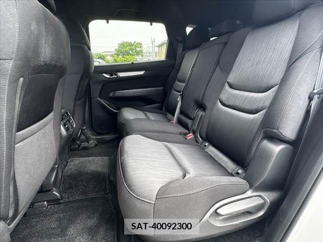 Mazda CX-8 2018-04 382837-18