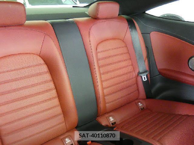Amg C-CLASS 2017-03 319382-13