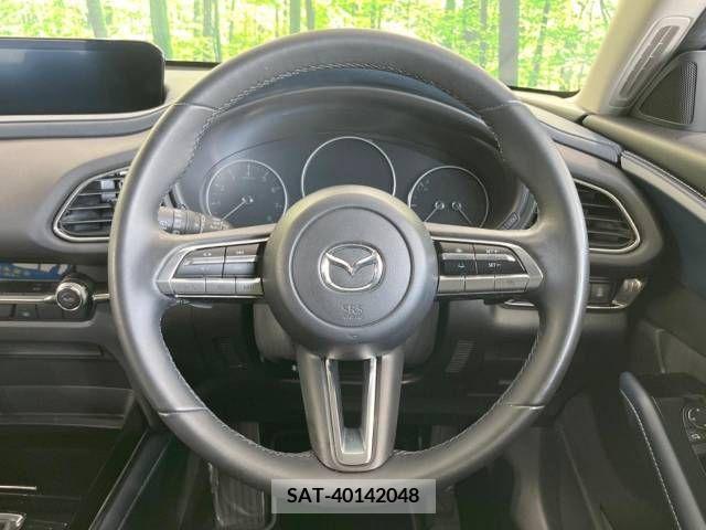 Mazda CX-30 2021-05 295916-11
