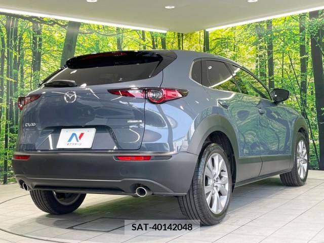 Mazda CX-30 2021-05 295916-17