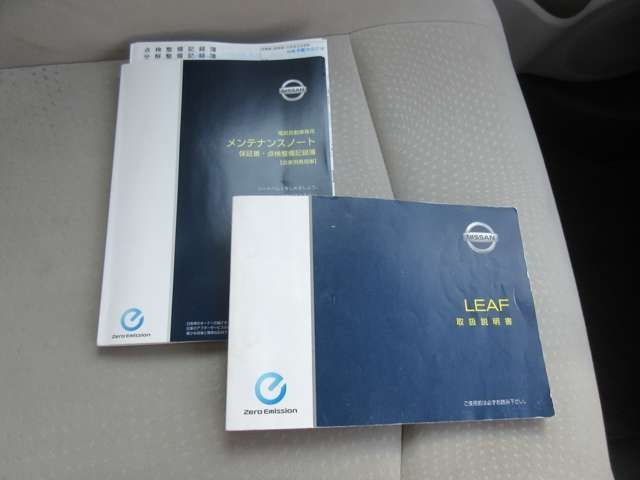 Nissan LEAF 2011-01 6269-29