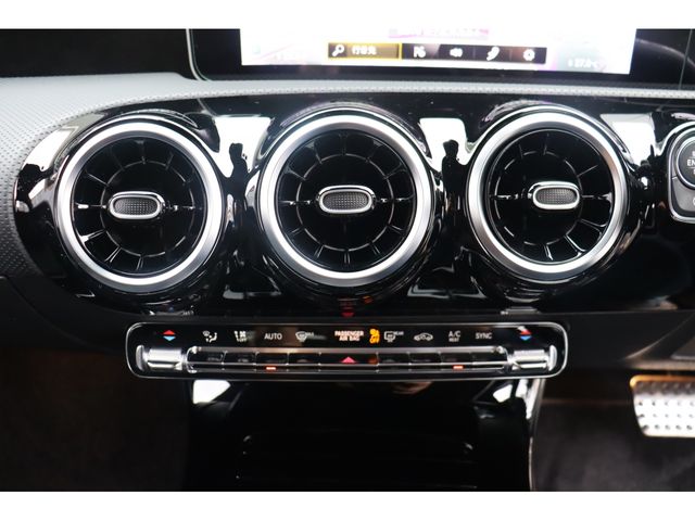 Mercedes Benz A-CLASS 2019-09 181584-11