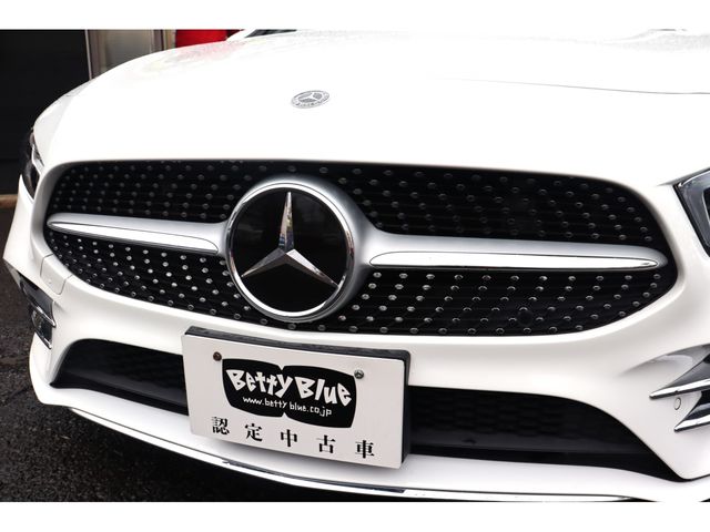 Mercedes Benz A-CLASS 2019-09 181584-18