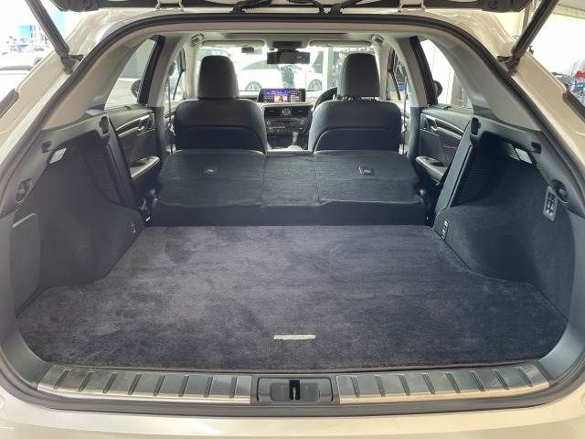 Lexus RX 2017-05 21293-12
