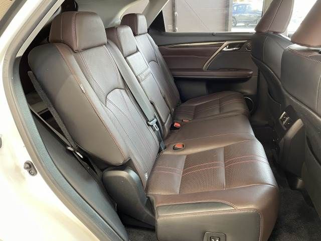 Lexus RX 2017-05 21293-5