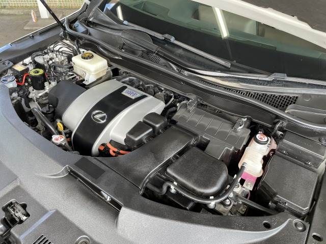 Lexus RX 2017-05 21293-17