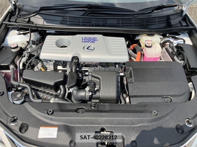 Lexus CT 2021-03 362727-23