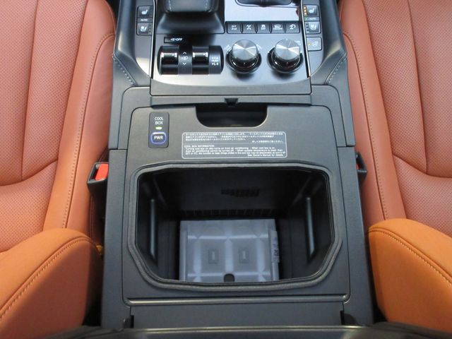 Lexus LX 2019-04 1864-27